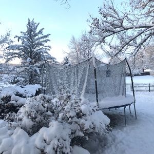 Meet your Posher, Sophia